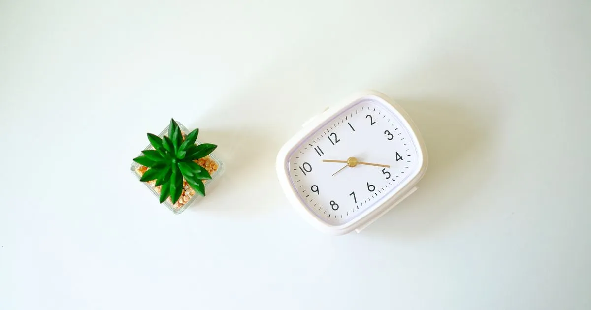 Reloj despertador analógico blanco sobre una superficie clara, junto a una pequeña planta